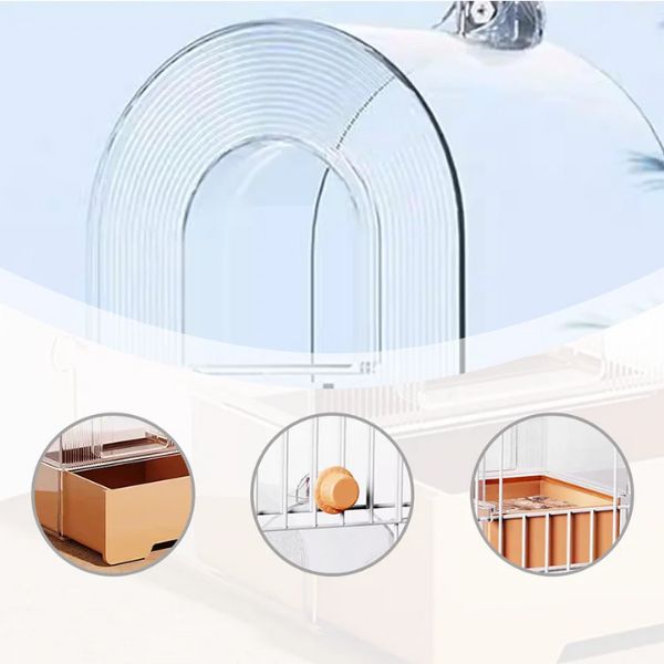Bañador Y Comedor Dos En Uno Para Pajaros l HappyGift®