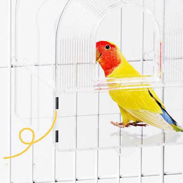 Bañador Y Comedor Dos En Uno Para Pajaros l HappyGift®